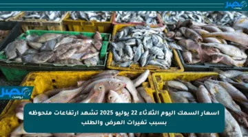 أسعار السمك اليوم الثلاثاء 22 يوليو 2025 تشهد ارتفاعات ملحوظة بسبب تغيرات العرض والطلب